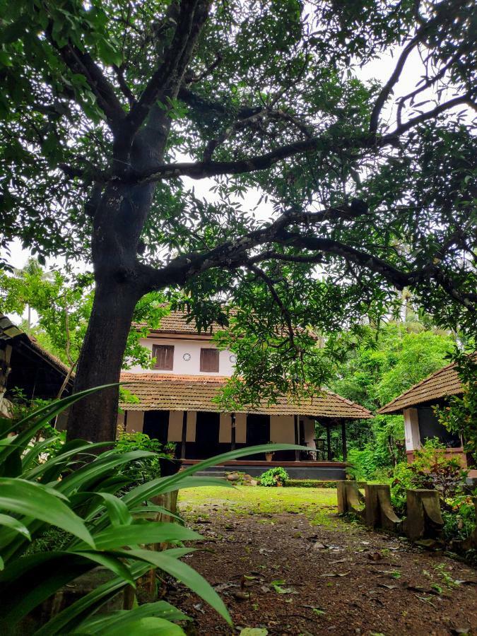 Meadows Villa Thrissur Buitenkant foto